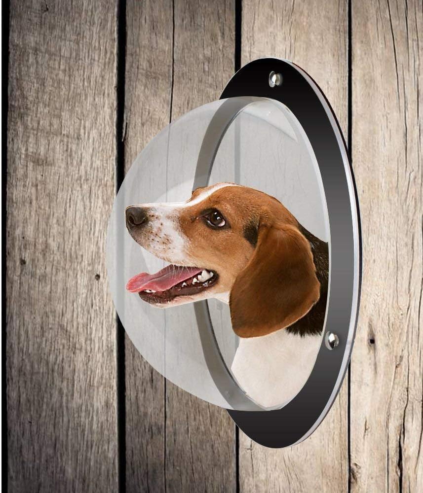 PetScope - Acrylic Fence Window Dome for Curious Pets