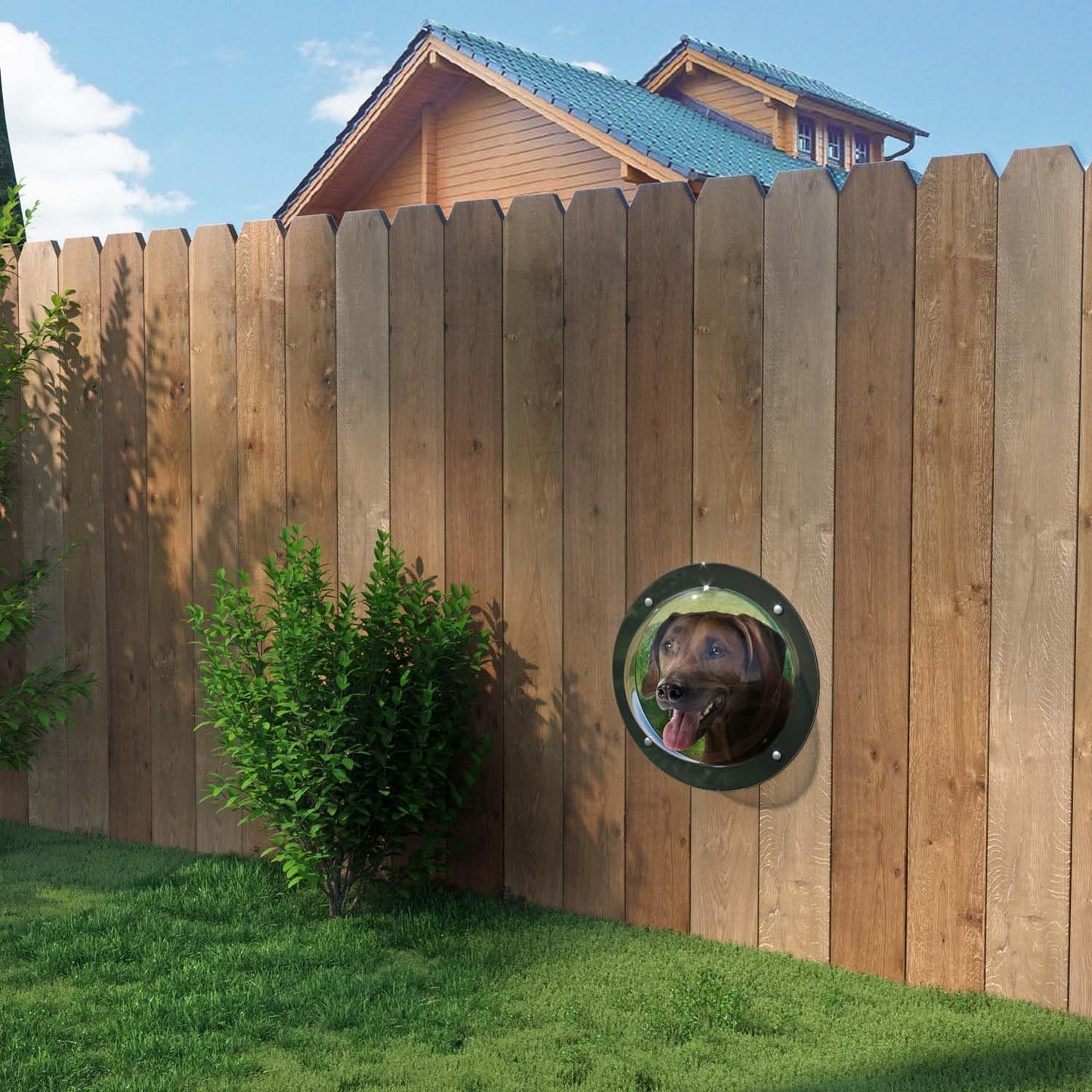 PetScope - Acrylic Fence Window Dome for Curious Pets